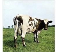 Warner Music Pink Floyd - Atom Heart Mother Vinile Rock Warner Music