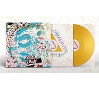 Warpaint The Fool - Andrew Weatherall Sessions (RSD 2021) (Vinyl LP)