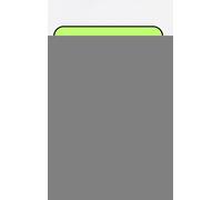 Warren Delinger Mindset per il business online (Copertina rigida)