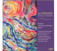 Warshauer, M. - Streams In The Desert