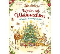 Warten auf Weihnachten. Magische Adventsgeschichten