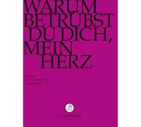 Warum Betruebst du Dich Mein