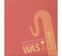 WAS A BEE - THIS IS WHAT YOU ARE
