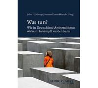 Was tun?: Wie in Deutschland Antisemitismus wirksam bekämpft werden kann