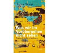 Was wir im Vorübergehen nicht sehen: Dreizehn Geschichten aus einem nahen Land