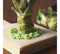 Wasabi rampicanti Aiule rialzate per il giardino vecchie varietà da giardino roccioso arredamento del soggiorno da appartamento esotiche, resistenti, longeve 550semi