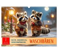 Waschbären - Klein. Knuddelig. Herzerwärmend. (Wandkalender 2027 DIN A3 quer), C
