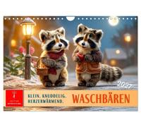 Waschbären - Klein. Knuddelig. Herzerwärmend. (Wandkalender 2027 DIN A4 quer), C