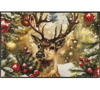 wash+dry Festive Spirit - Zerbino per interni ed esterni, 50 x 75 cm, lavabile