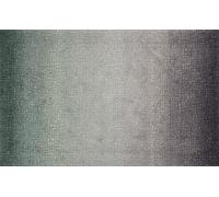 Wash+Dry tappeto Decor Calm Soul 110x175cm, adatto per interni ed esterni, lavabile, verde