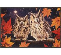 Wash+Dry Zerbino Night Owls 50 x 75 cm, interno ed esterno, lavabile, colorato