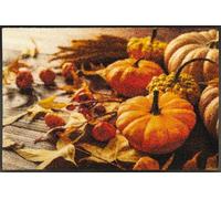 wash+dry Zerbino Pumpkin Glow, 50 x 75 cm, interno ed esterno, lavabile