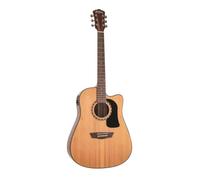 Washburn Apprentice Pack D5CE - Chitarra folk electro acustica Washburn Apprentice Pack D5CE nera - Include gigbag, cinghia e plettri
