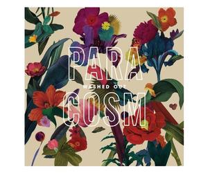 Washed Out Paracosm (CD)