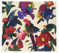 WASHED OUT - PARACOSM - WASHED OUT