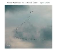Wasilewski Marcin - Spark Of Life