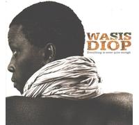 Wasis Diop - Everything Is Never Quite Enou