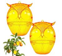 Wasp Traps, Hornet Catcher, 14 x 11,5 cm (5,51 x 4,53 pollici) Eco-Friendly Reusable Bait Trap, Entry Design 2 Pack, for Home Patio Yard Camping Garage Abs Material