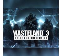 Wasteland 3 Colorado Collection (PC) Steam Key - GLOBAL