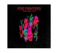 - Wasting Light - CD