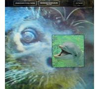 Watching The Wildlife (Hotter)