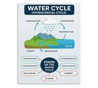 Water Cycle Freshwater Ecology Poster Science Chart