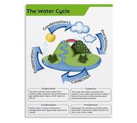 Water Cycle Freshwater Ecosystems Science Education Poster