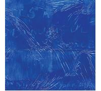 Water From Your Eyes - It's A Beautiful Place - Vinile