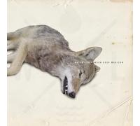 Water Liars - Moon Over Madison