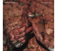 Water Liars Phantom Limb (Vinyl LP) 12" Album