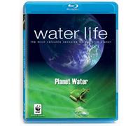 Water Life: Planet Water – Questar
