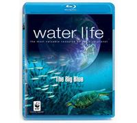 Water Life: The Big Blue