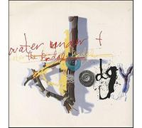 WATER UNDER THE BRIDGE 12" SINGLE UK A&M 1993 2 TRACK PRO (AMYDJ196)