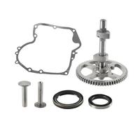 WATERBELINE Auto Auto Completa Motore Kit Albero A Camme Con Guarnizione Carter E Guarnizione Olio Sostituzione Accessori Per 793880 Moto
