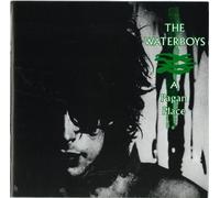 Waterboys - A Pagan Place