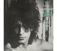 Waterboys - A Pagan Place LP (Vinyl Album) UK Chrysalis 1984