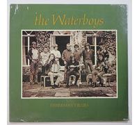 Waterboys - Fisherman's blues (1988) [VINYL]