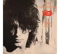 The Waterboys A Pagan Place (CD) Expanded Album