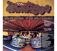 Waterboys - Room To Roam (Remastered) (180 g) (2 LP)