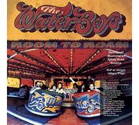 Waterboys The - Room To Roam (Half Speed Mastering)