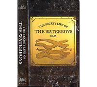 Waterboys - The secret life of the Waterboys (audio C7)