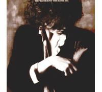 Waterboys,the - This Is the Sea