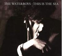 The Waterboys This Is the Sea (CD) Collector's Remastered Album