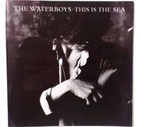 Waterboys - This is the sea