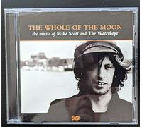 Waterboys - This Is the Sea