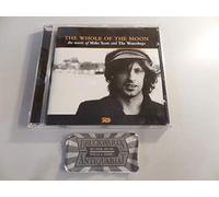 Waterboys - Whole Of The Moon
