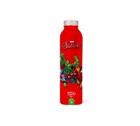 WaterCo DIS-ALU-AVEN Marvel Avengers Acqua in Alluminio bottiglia, 500ml