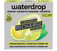 WATERDROP MICRODRINK GmbH WATERDROP MICROLYTE LIMOME MENTA 12 CUBETTI