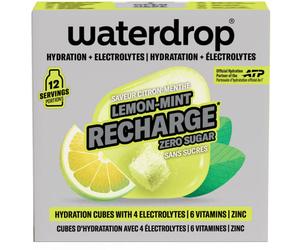 WATERDROP MICRODRINK GmbH WATERDROP MICROLYTE LIMOME MENTA 12 CUBETTI