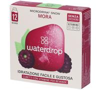 Waterdrop Microdrink Mora 24 g Altro
